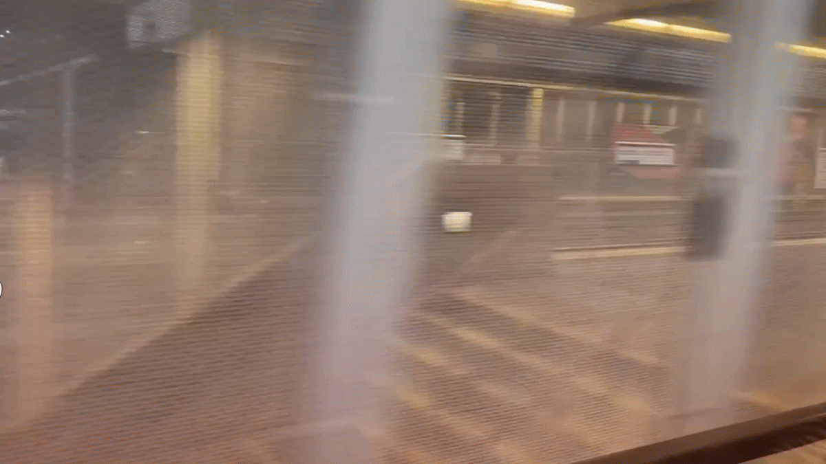 Subway pinkball getting lasered hahaha
