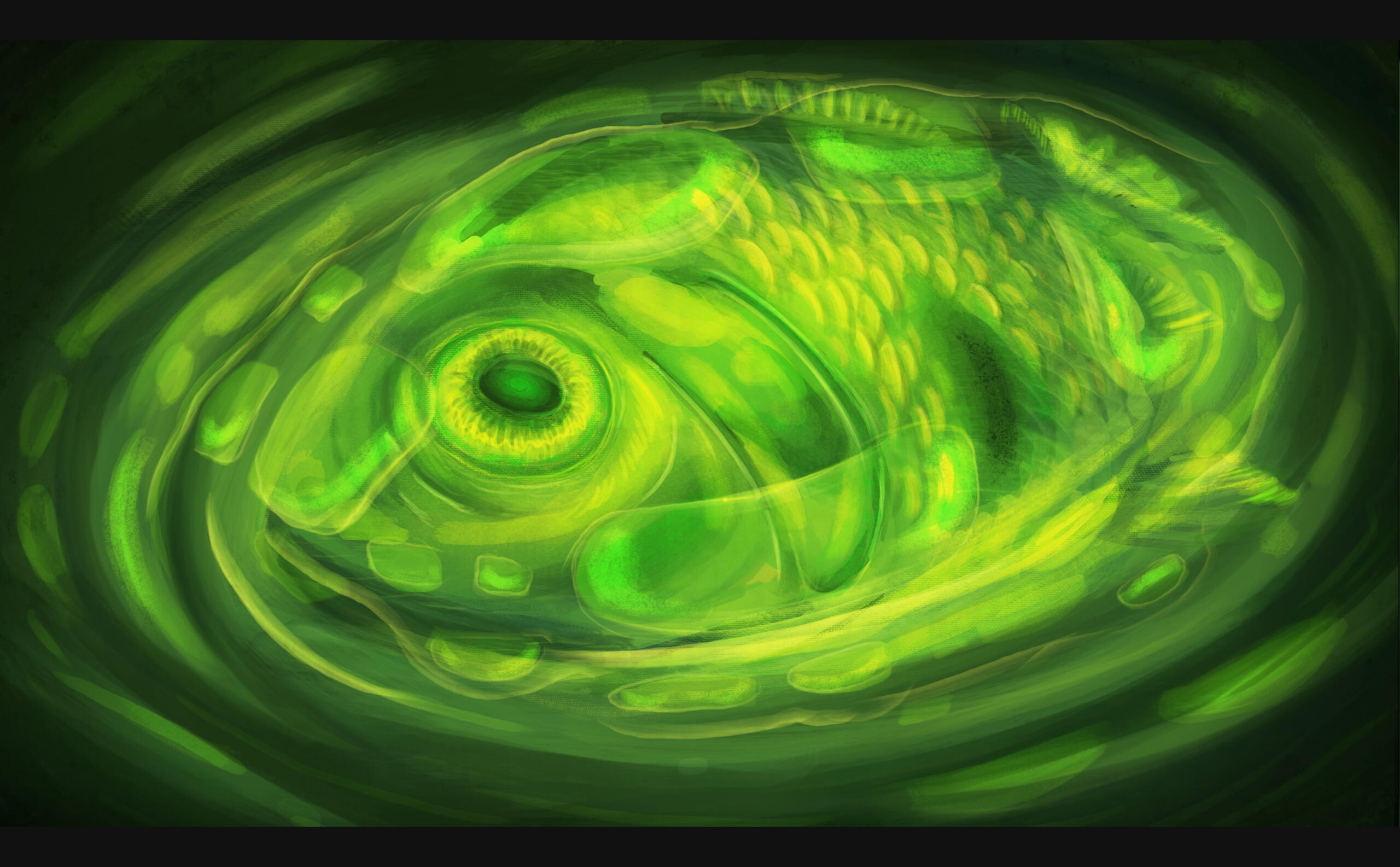 Colour study - analogous