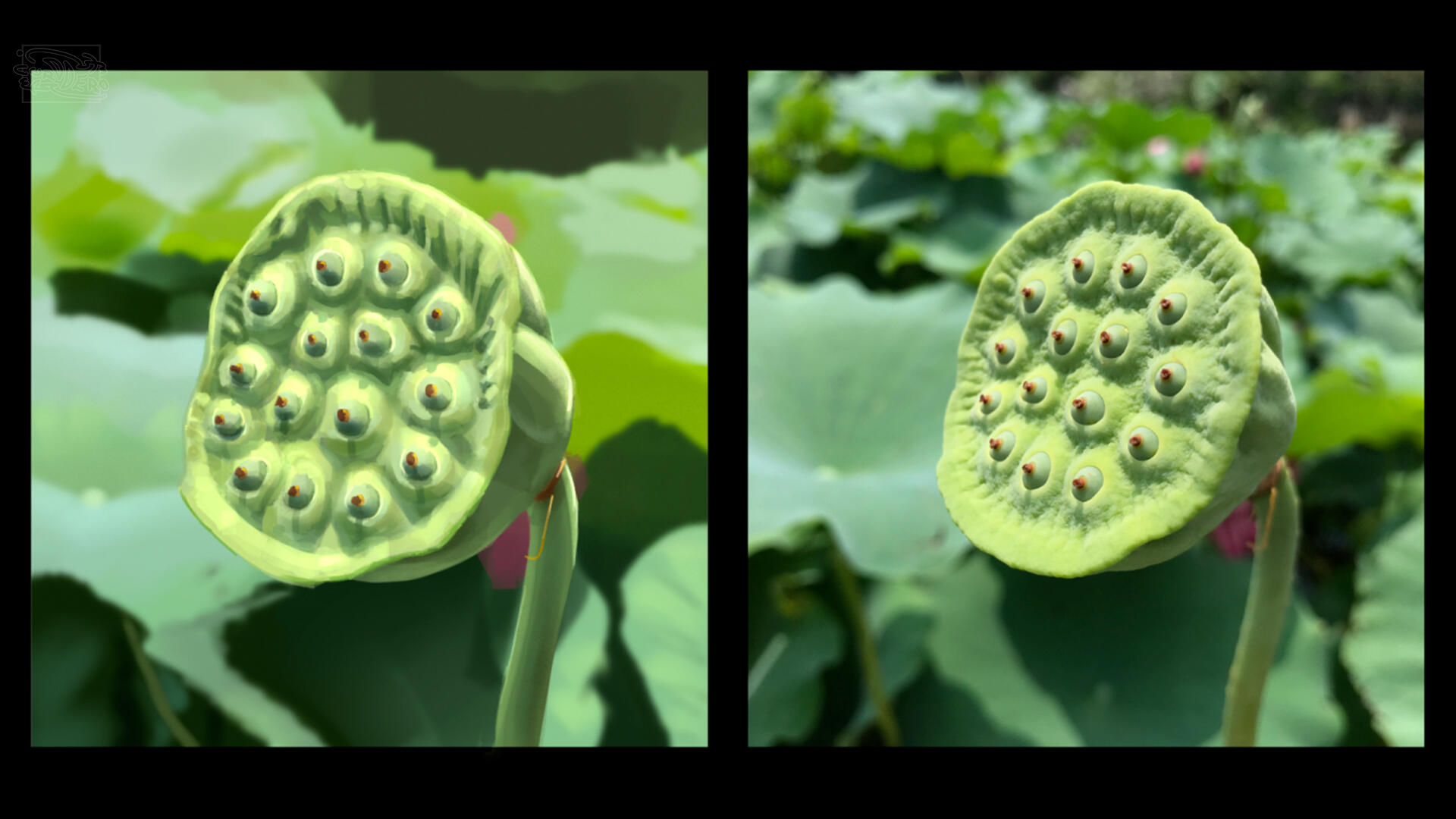 Light study - sunlight