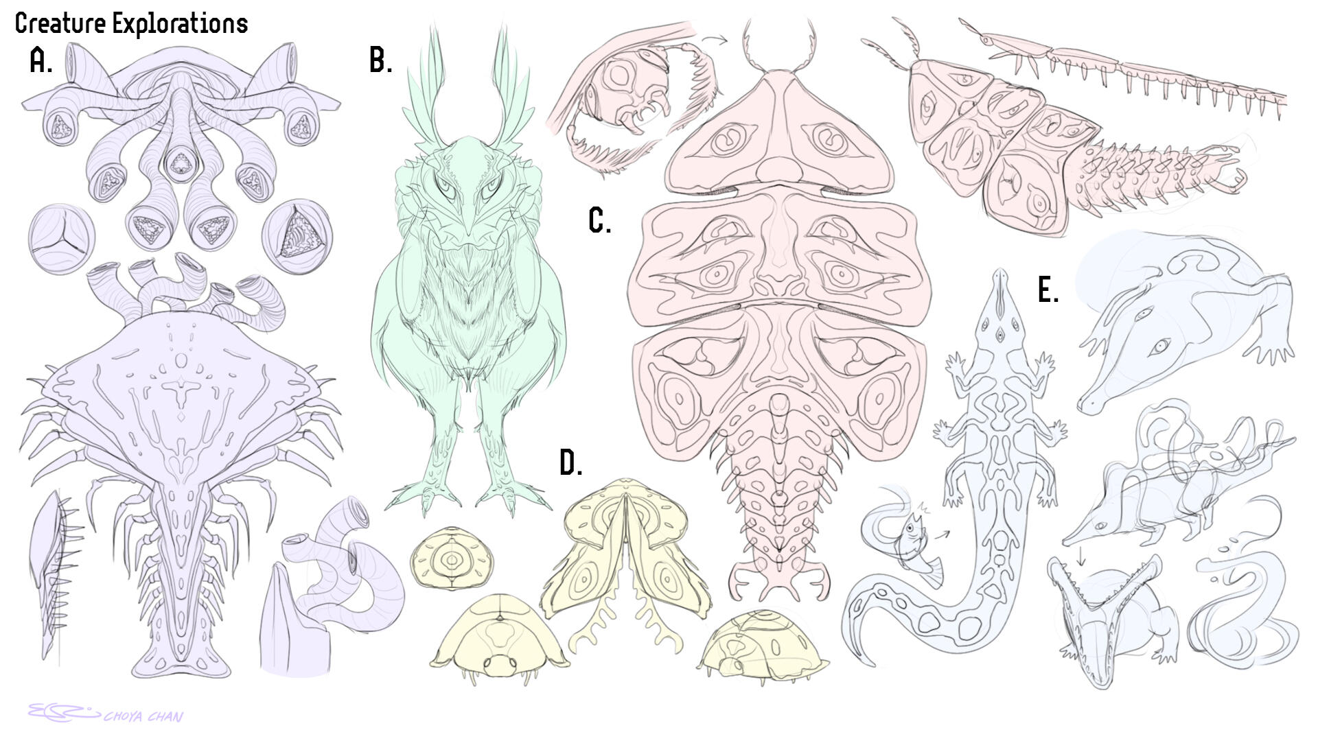 NZE creature explorations